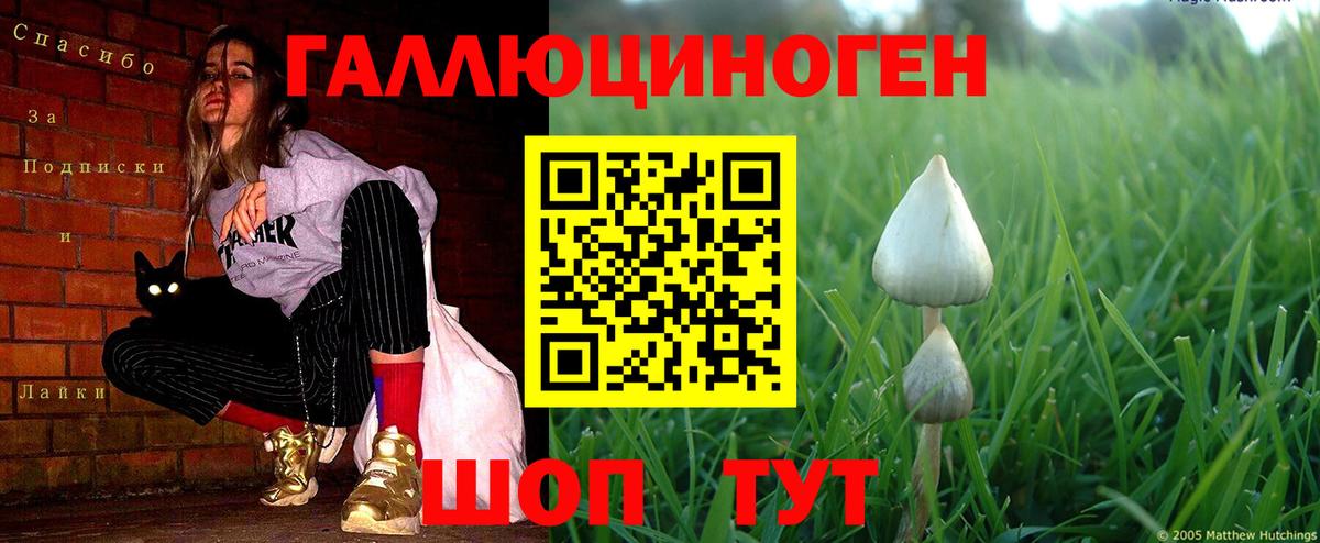 Галлюциногенные грибы мухоморы  Псилоцибиновые грибы ЛСД  Чебоксары  Вход с VPN 